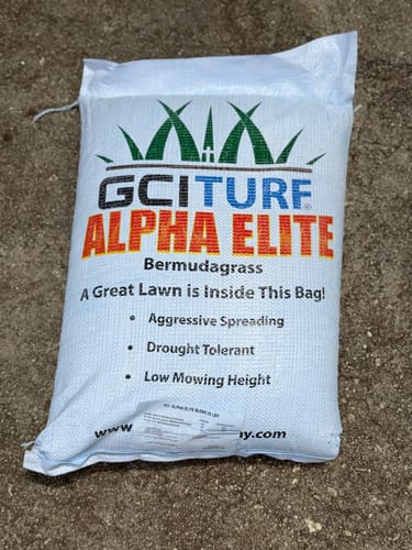 Customer photo review of GCI Turf Alpha Elite Bermuda Grass Seed