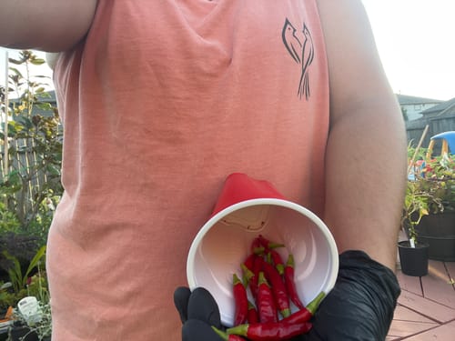Customer photo review of Two Love Birds Comfort Colors® Tank Top