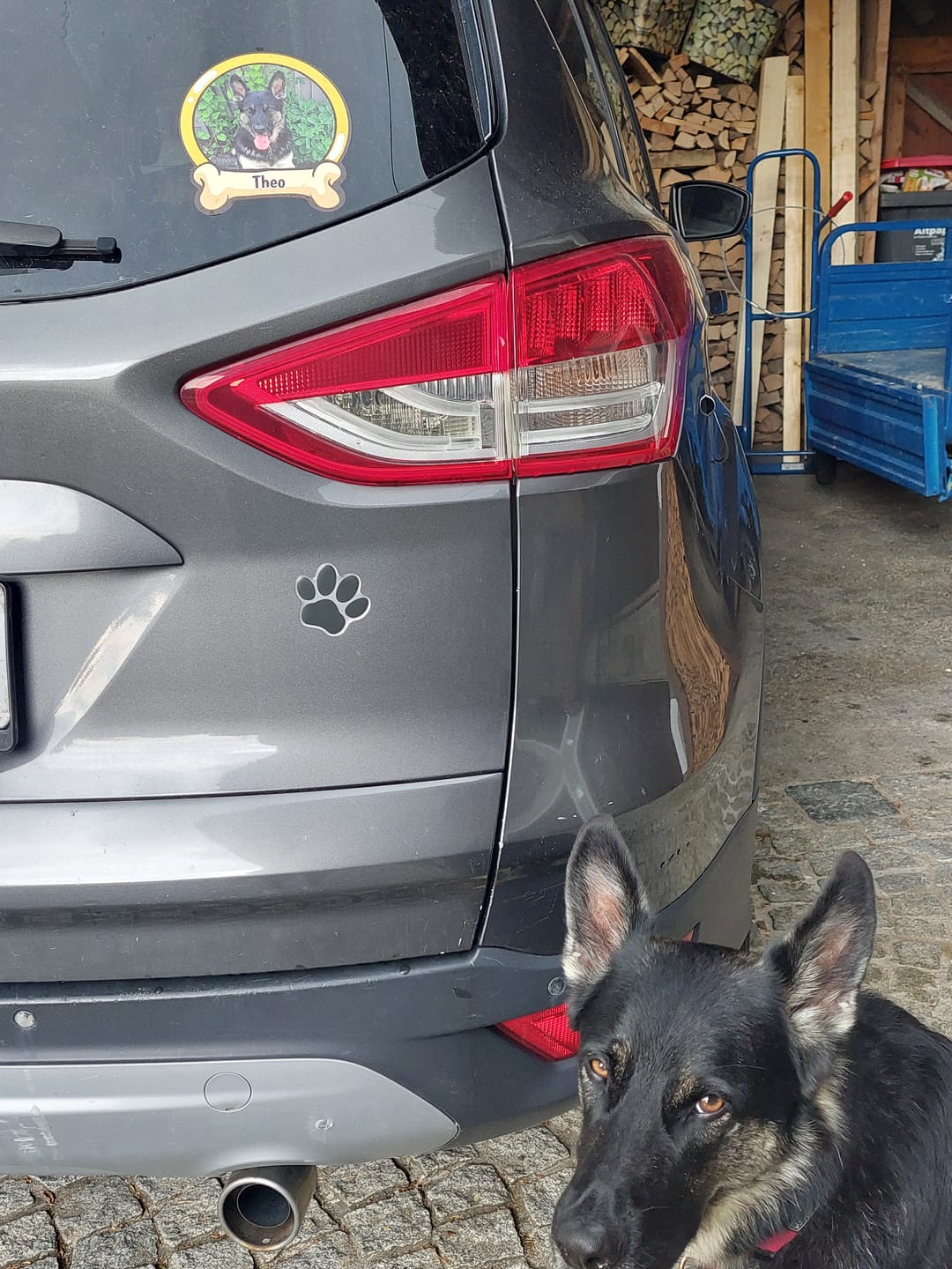Customer photo review of Tier an Board - Individueller Autoaufkleber