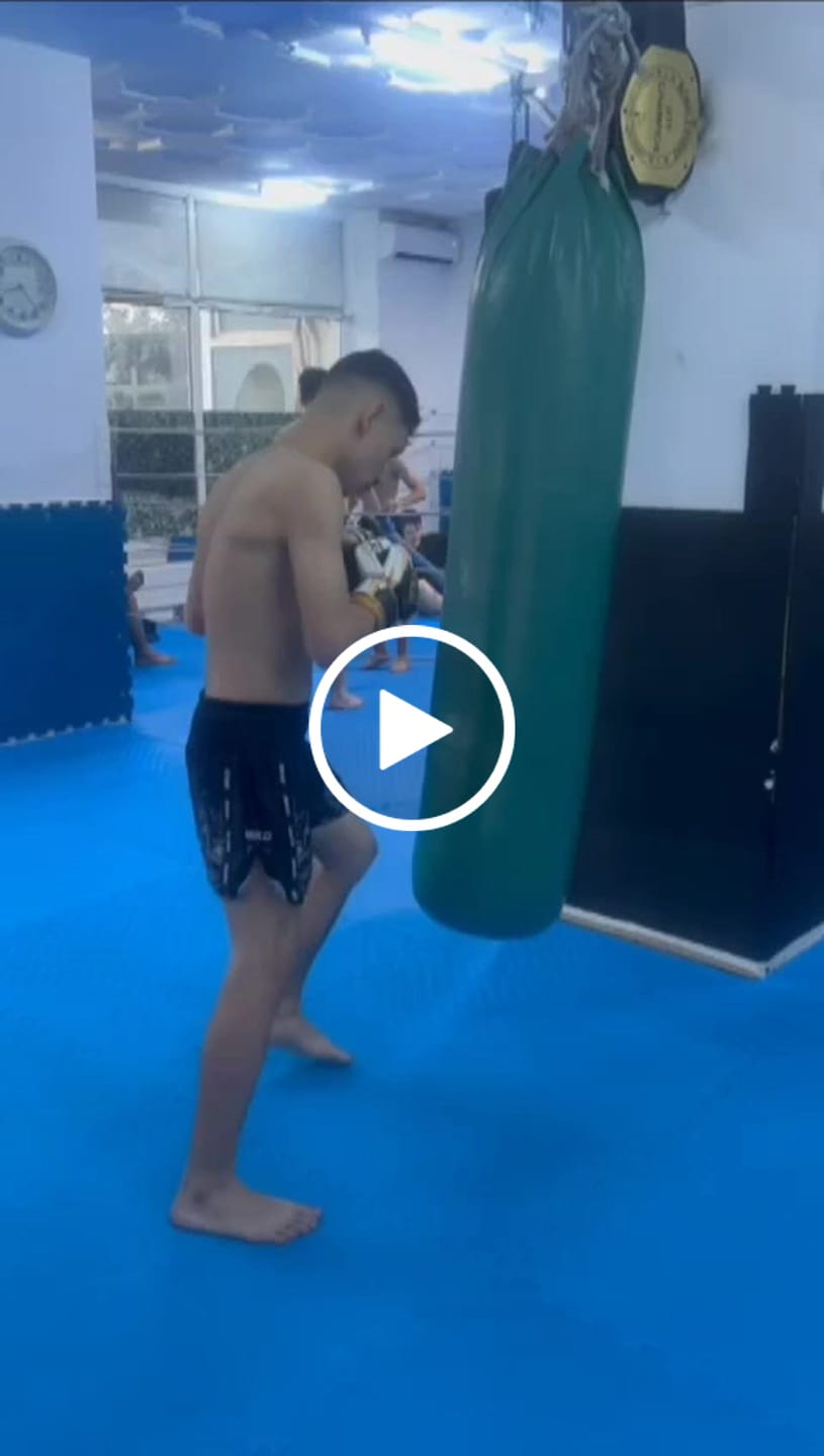 Customer video review of Manusi Box Knockout Pro Sparring 2.0