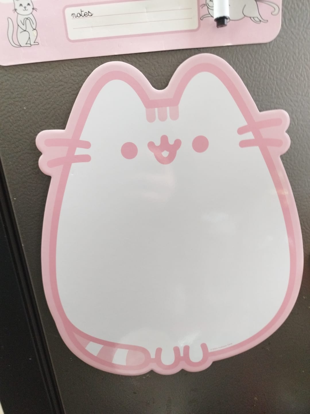 Customer photo review of Mooving at Work - Pizarra Pusheen 30 x 22 cm