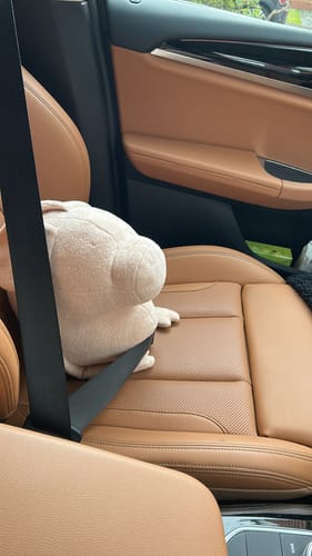 Customer photo review of HELMUT, LE COCHON - GRAND