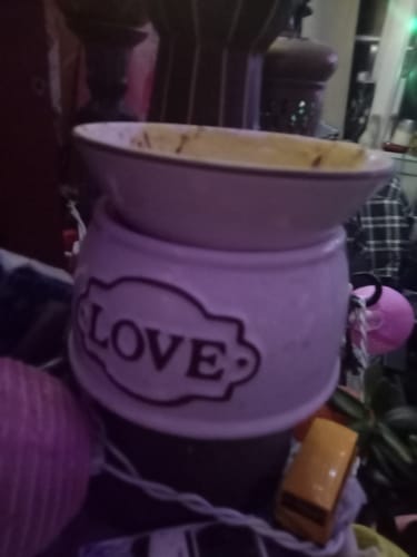 Customer photo review of Blackcurrant & Roses Wax Melt