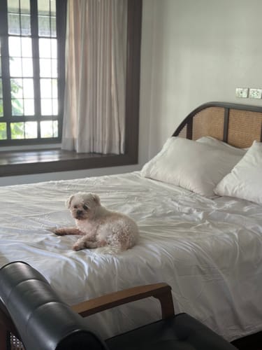 Customer photo review of Plain White