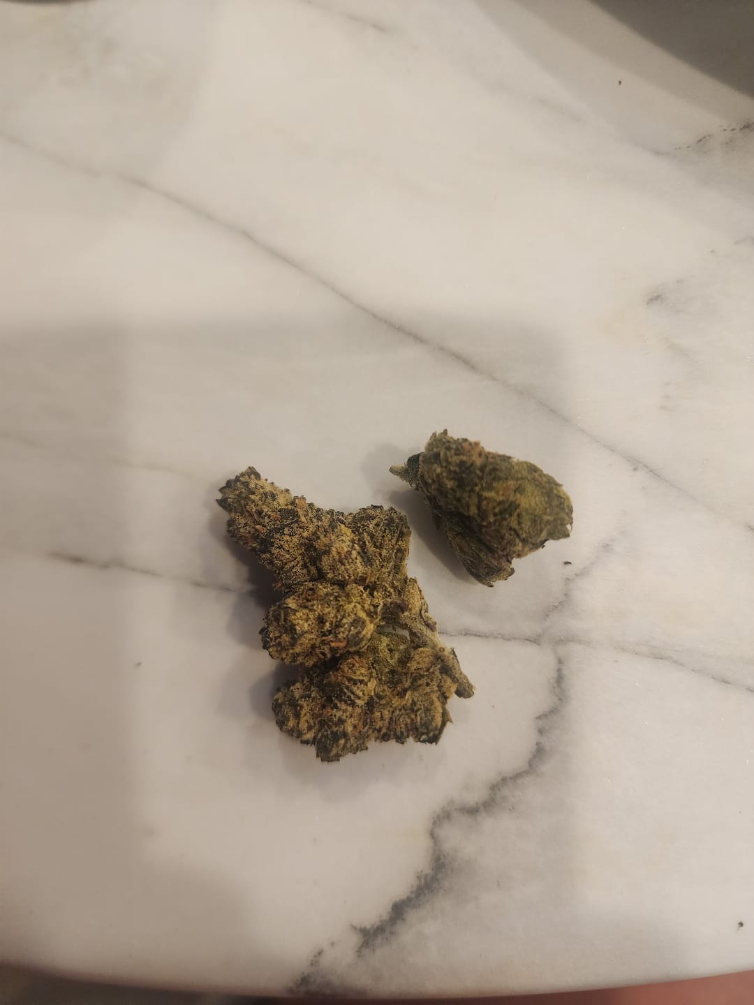 Customer photo review of Jealousy - THCa Flower