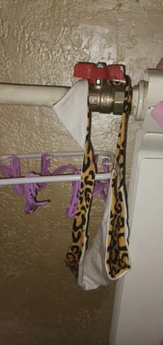 Customer photo review of Cotton G String Leopard Women Panties Sexy Briefs Thong Low Waist T-back Bikini Underwear Seamless Femlae Lingerie Size S-XXL