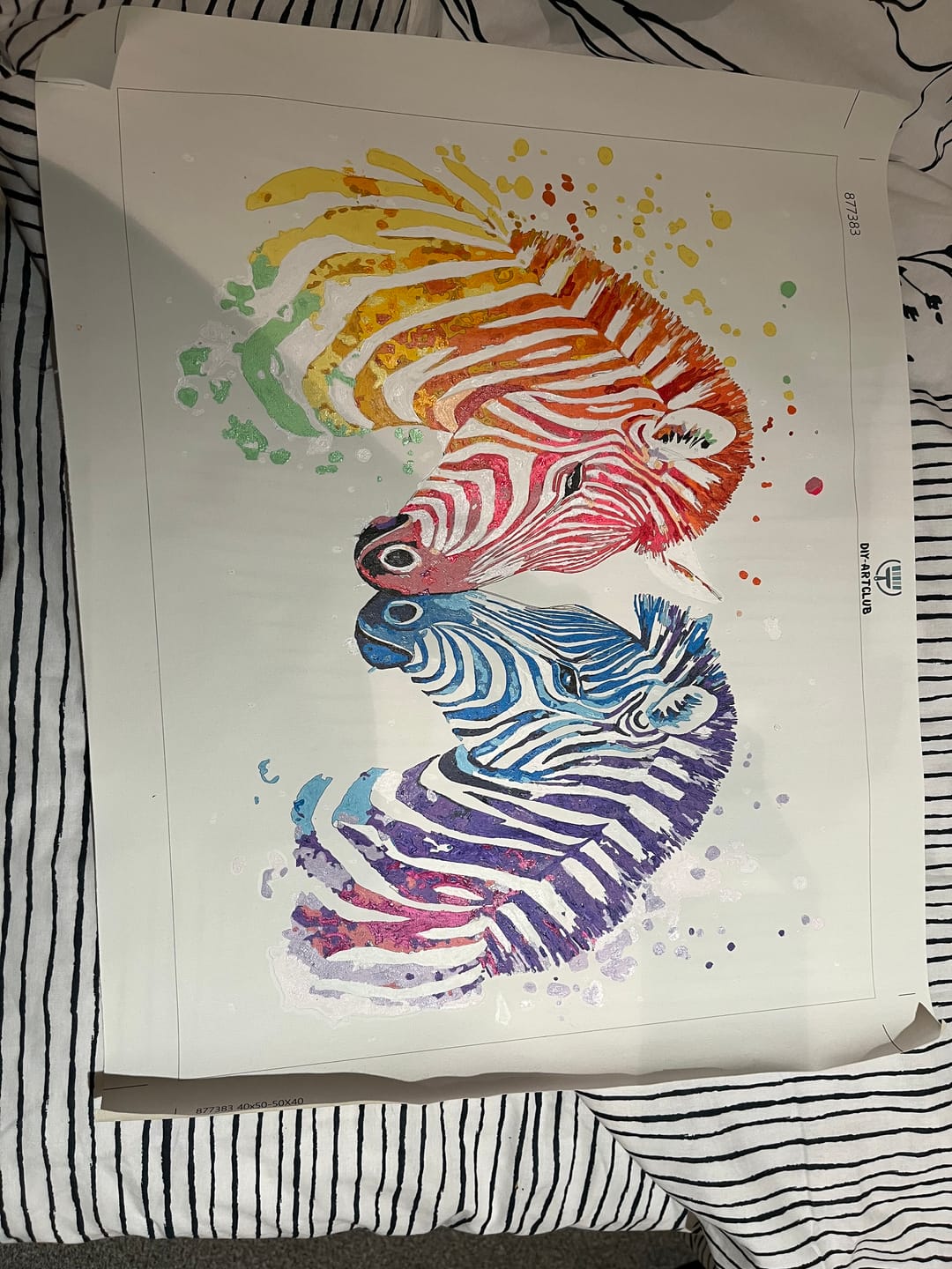 Customer photo review of Colorful Zebra Couple | Paint by Numbers