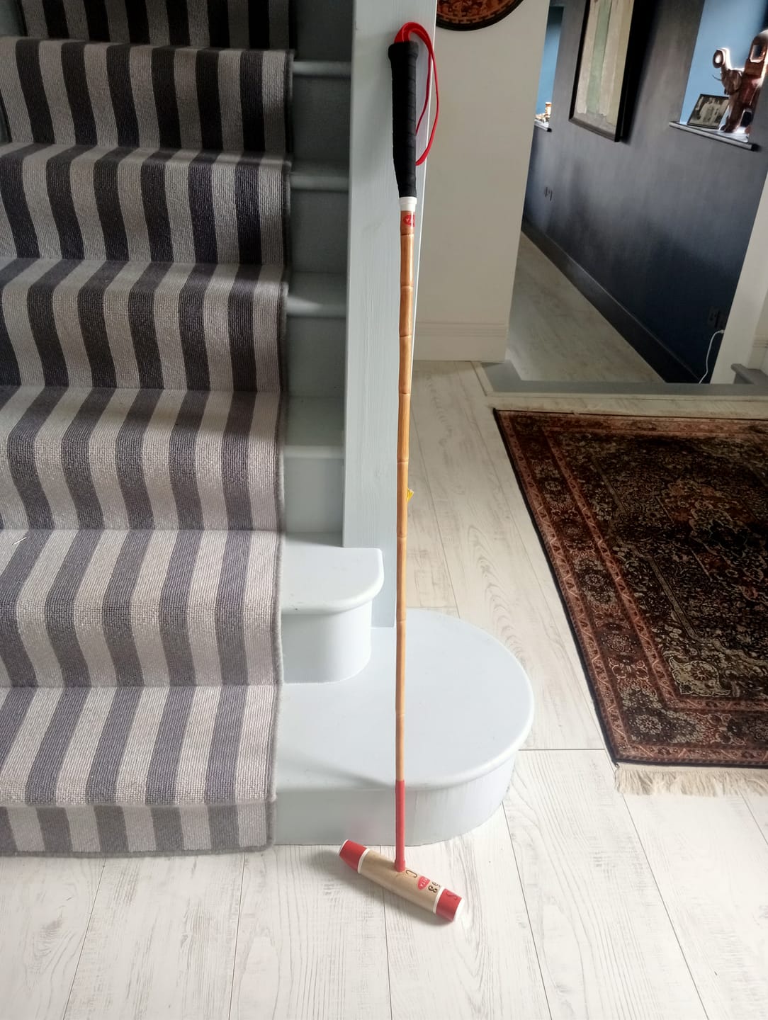 Customer photo review of Polo Mallet 50” to 54” - Painted