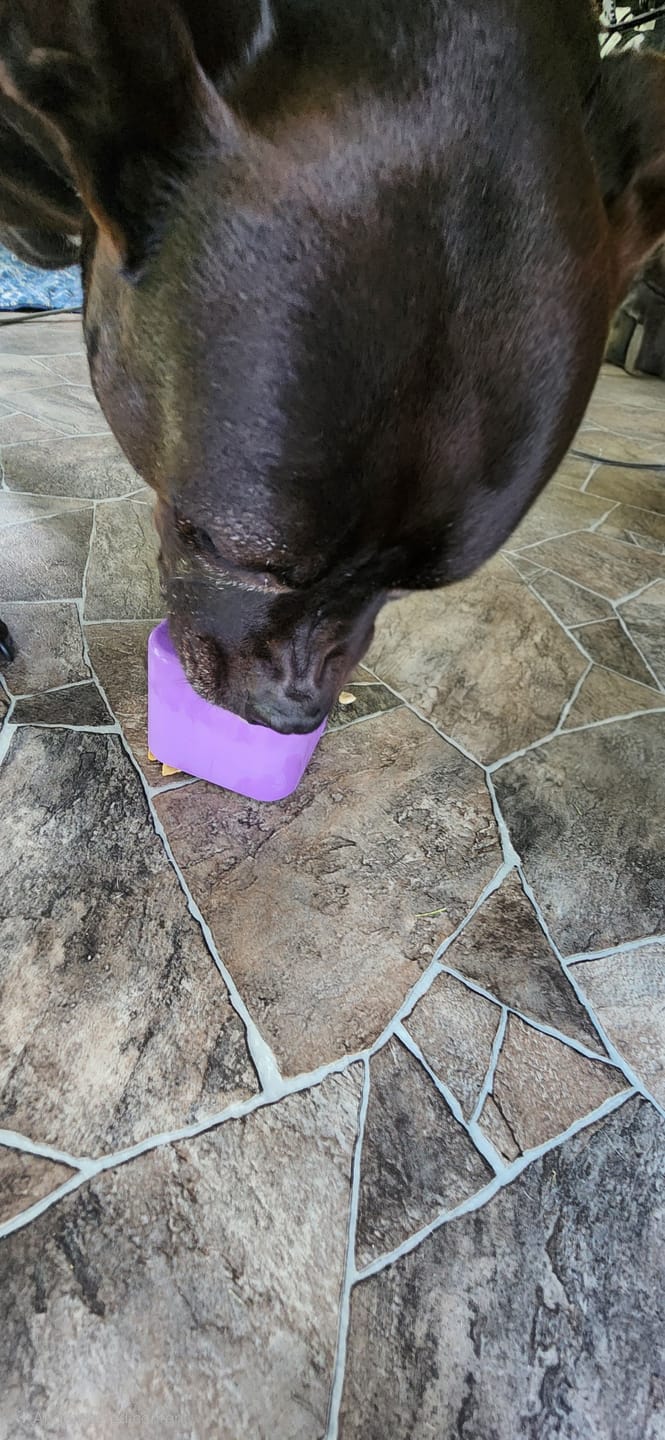 Customer photo review of Bone Refills Dog Meat 90 Grams (4 Pack)®