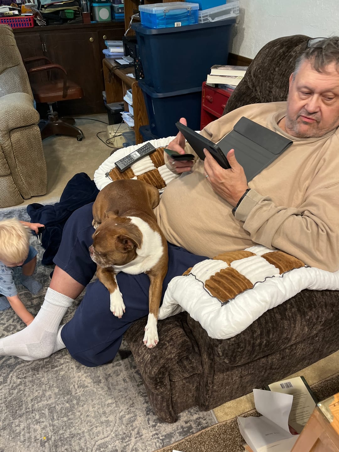 Customer photo review of NEW 2-in-1 Furniture Protector & Dog Bed Couch Cover with Thick Orthopedic Padding, Non-Slip Grip, Scratch-Resistant Surface & Machine-Washable Fabric