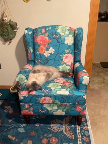 Customer photo review of HOMREST Fabric Accent Chair, Modern Upholstered Armchair, Leisure Single Sofa Chair for Living Room Bedroom Reading, Teal Floral