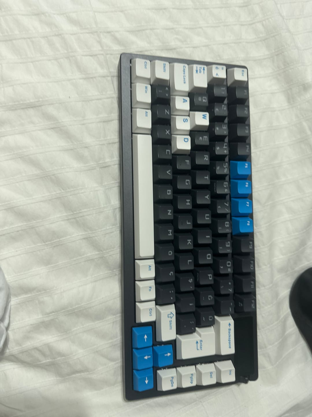Customer photo review of Wraith Çift Enjeksiyonlu PBT Türkçe Tuş Takımı
