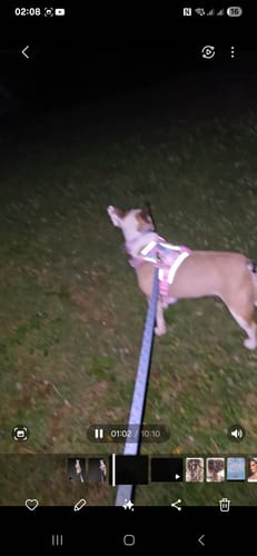 Customer photo review of ID Tag Disney©- Mad Hatters Tea Party