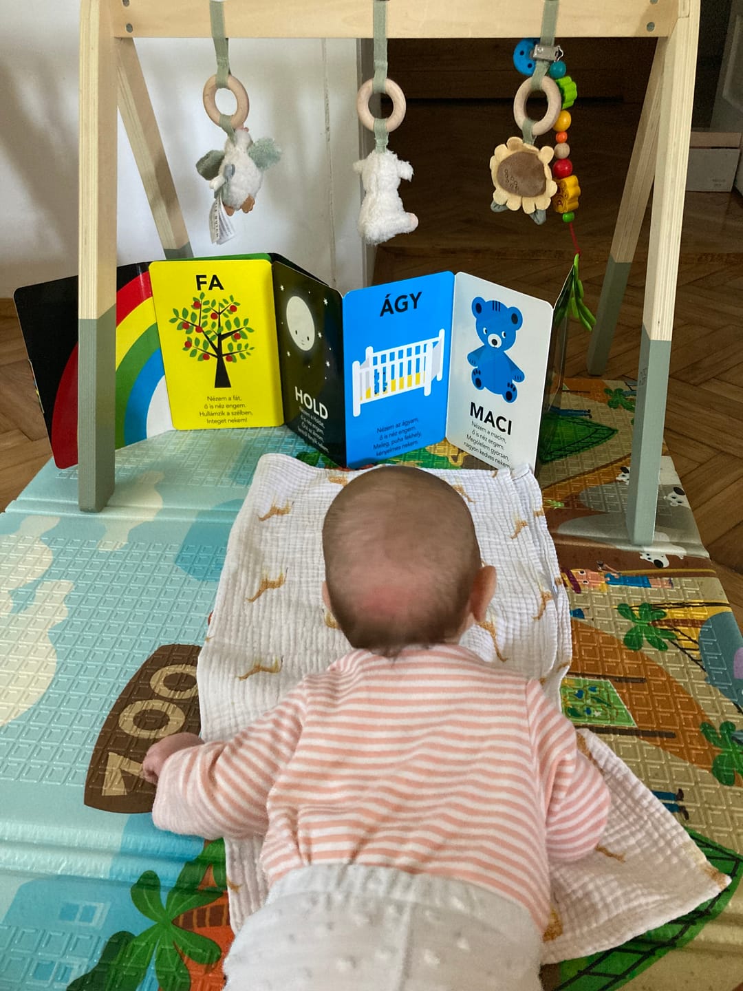 Customer photo review of Nyálkendők