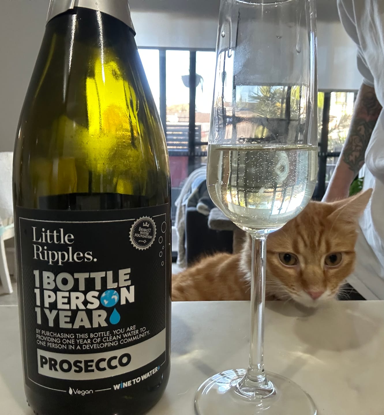 Customer photo review of Prosecco - Single Bottle