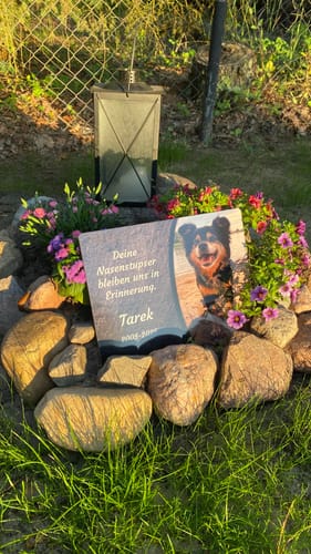 Customer photo review of Hunde Gedenktafel mit Foto & Spruch (UV- & Wetterfest)