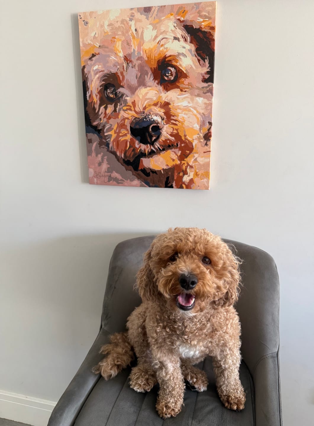 Customer photo review of Puppy Eyes