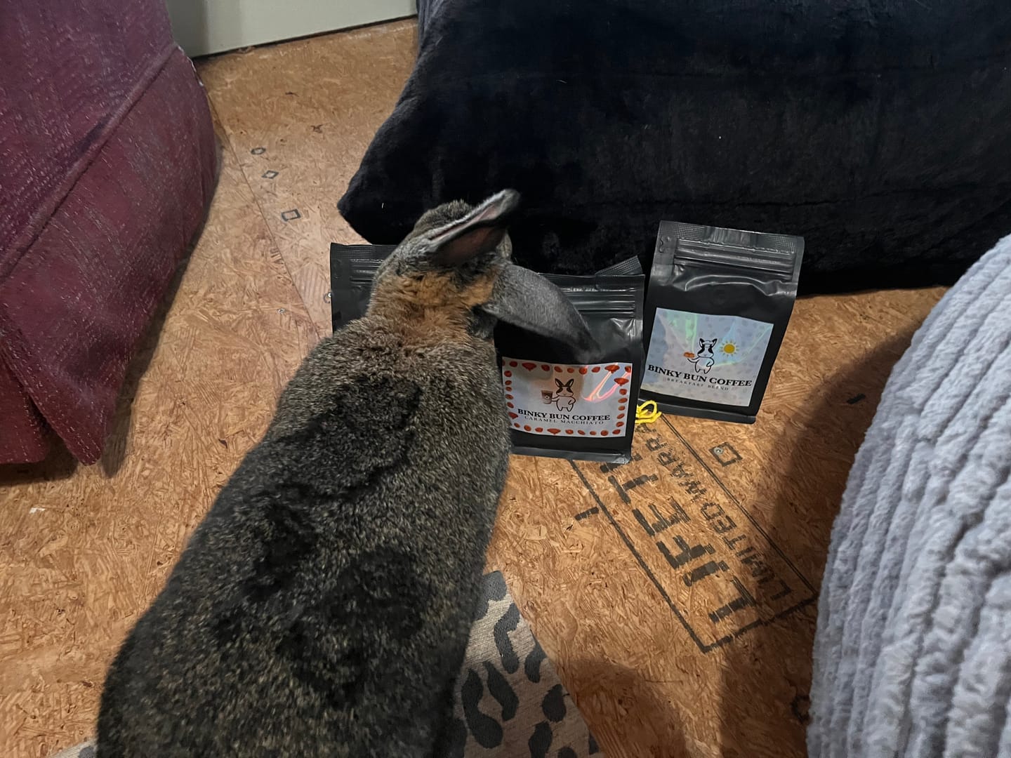 Customer photo review of Caramel Macchiato (Bean)