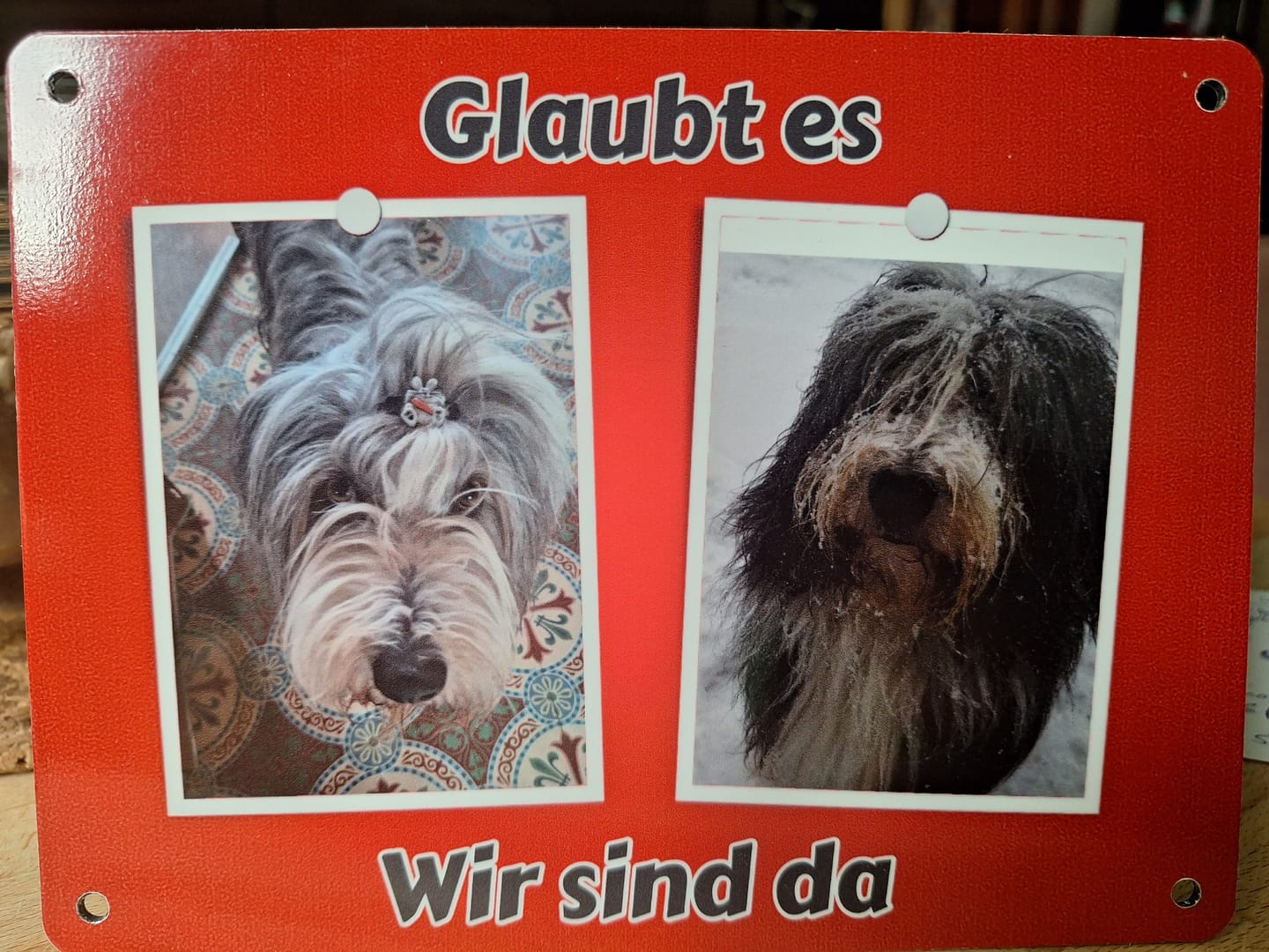 Customer photo review of Hunde-Türschild personalisiert mit Foto & Text (UV- und wetterfest)