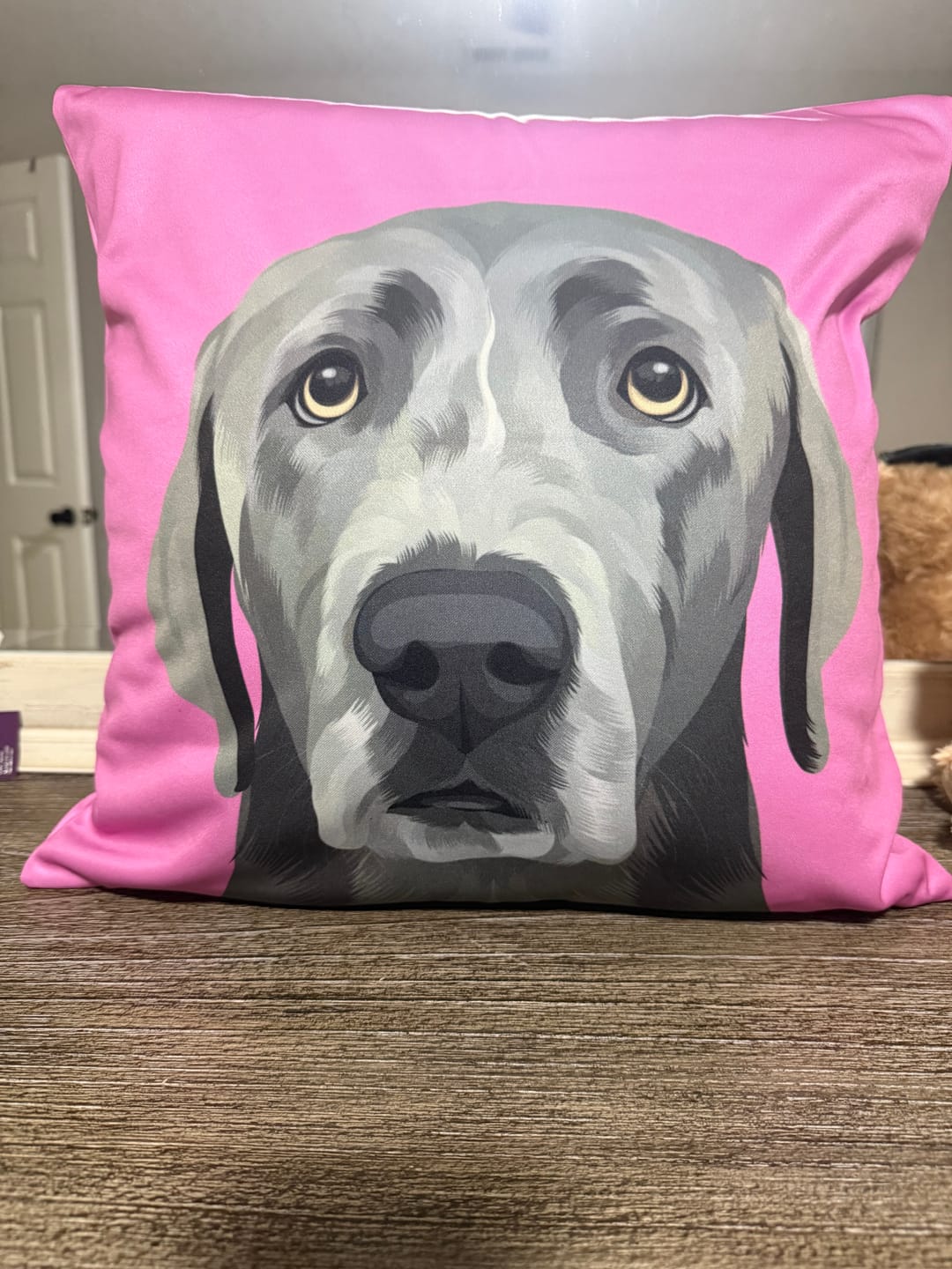 Customer photo review of Custom Pet Portrait Pillow - Two Sizes