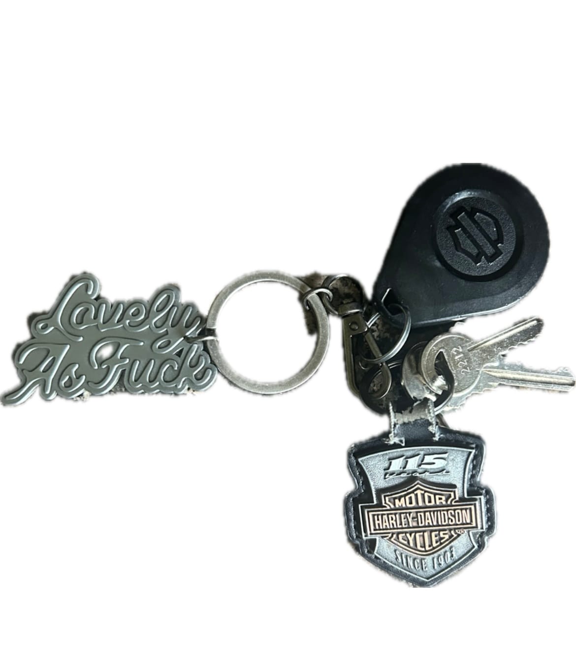 Customer photo review of Lovely Silver Keychain