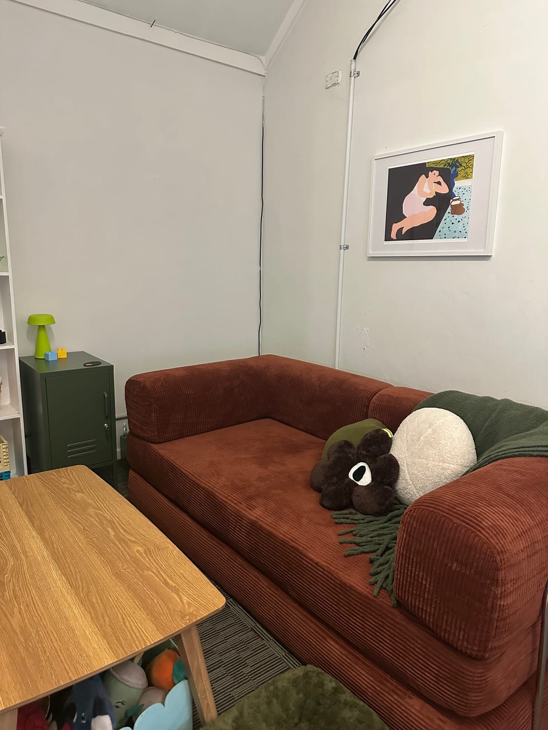 Customer photo review of Nova Sofa Bed-Chestnut