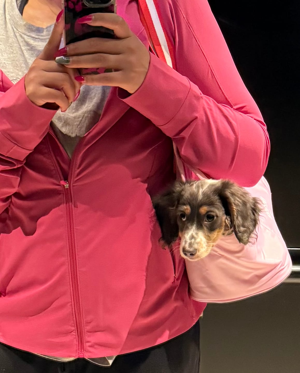 Customer photo review of florence by mills Pet Carrying Tote