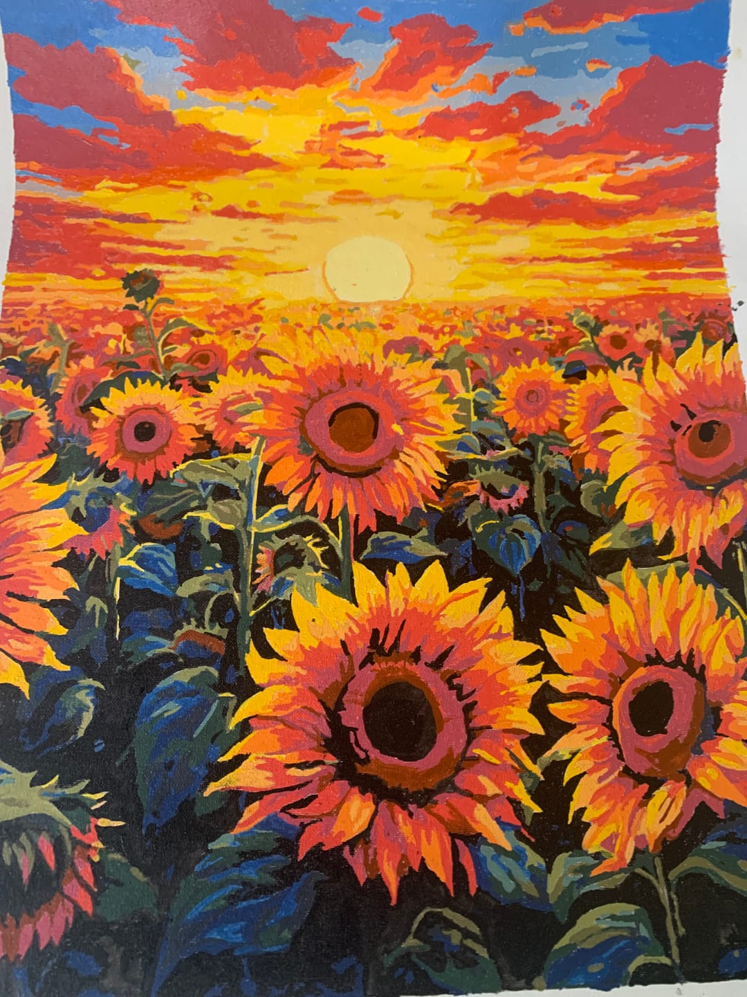 Customer photo review of Sunflower Dusk