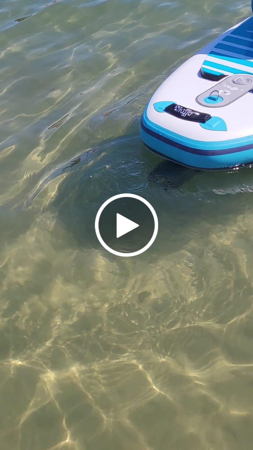 Customer video review of SKINHAWK SUP und Kajak Elektromotor 700W