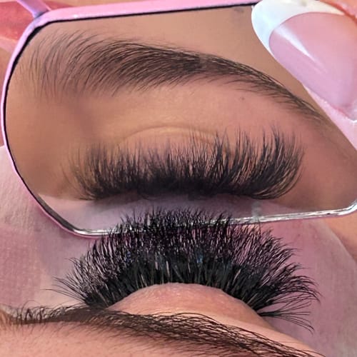 Customer photo review of MIXED 1250 FANS PRO MADE TRAY (LOOSE)