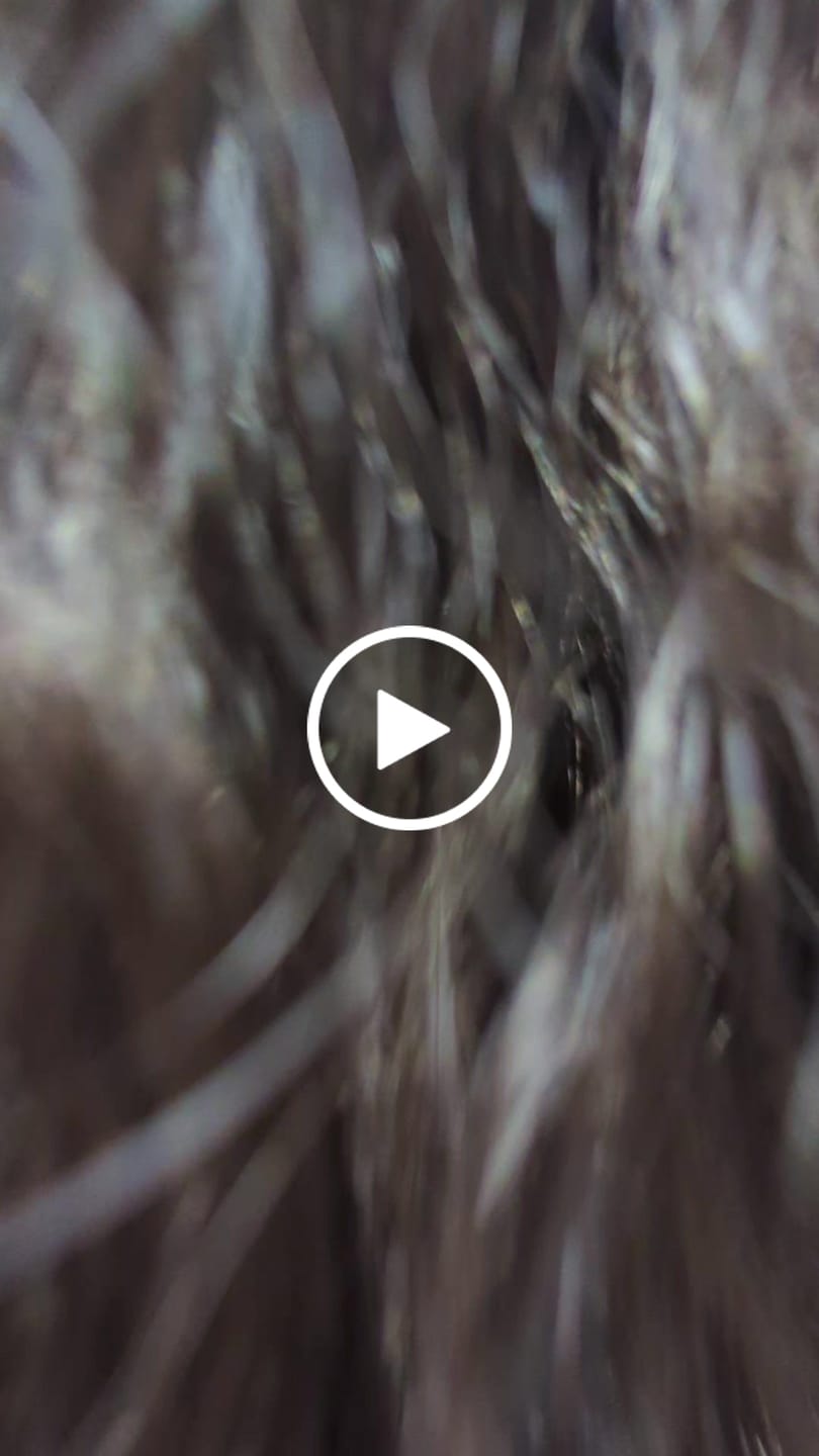 Customer video review of Lissage TANINO +