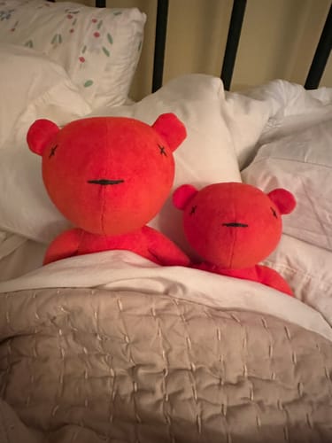 Customer photo review of PACK JERMAINE PETIT & GRAND