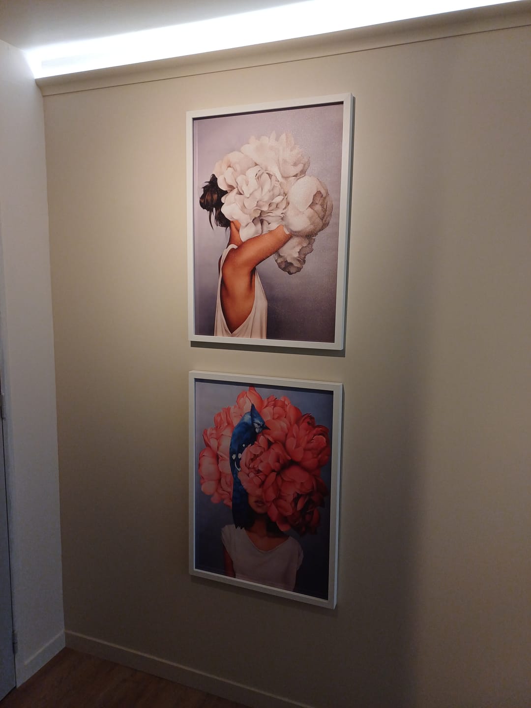 Customer photo review of Affiches Abstraites Femme et Fleurs (DESTOCKAGE)