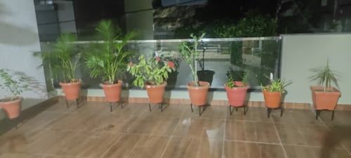 Customer photo review of UnitedCrafts Trivia Metal Pot Stand High Quality & Unique Design