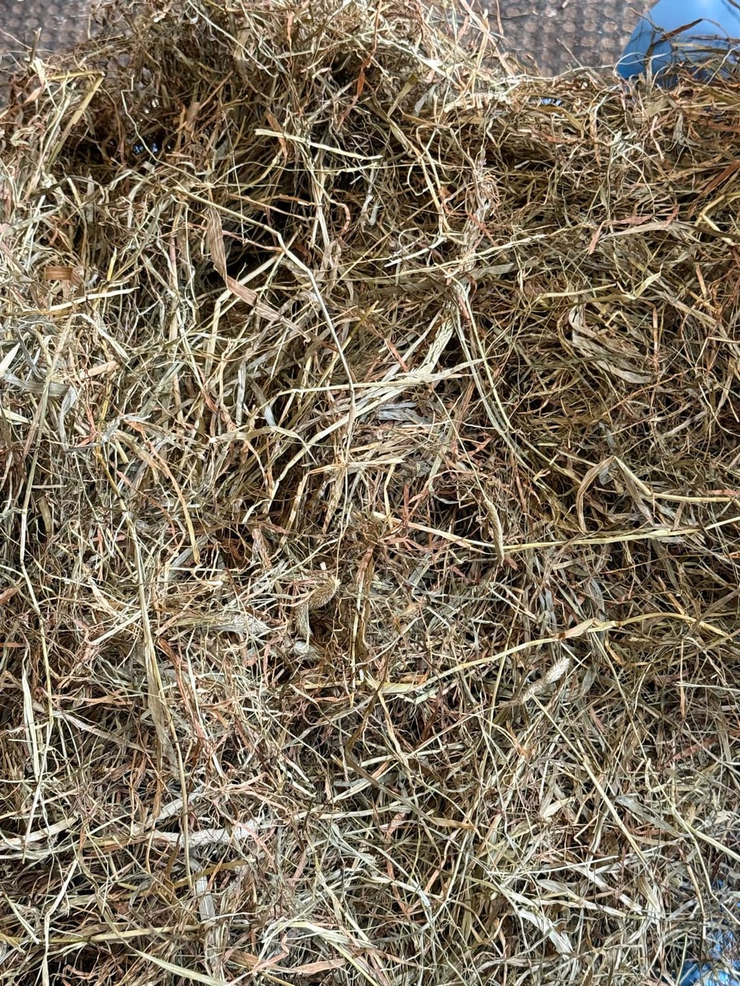 Customer photo review of Lollenstein Wiesenheulage 2. Schnitt 2024