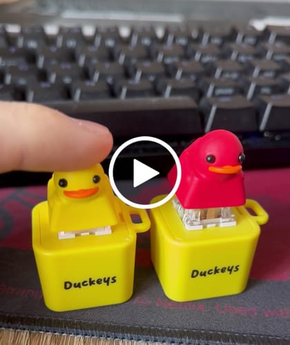 Customer video review of Quackey - Fidget Toy that Quacks!