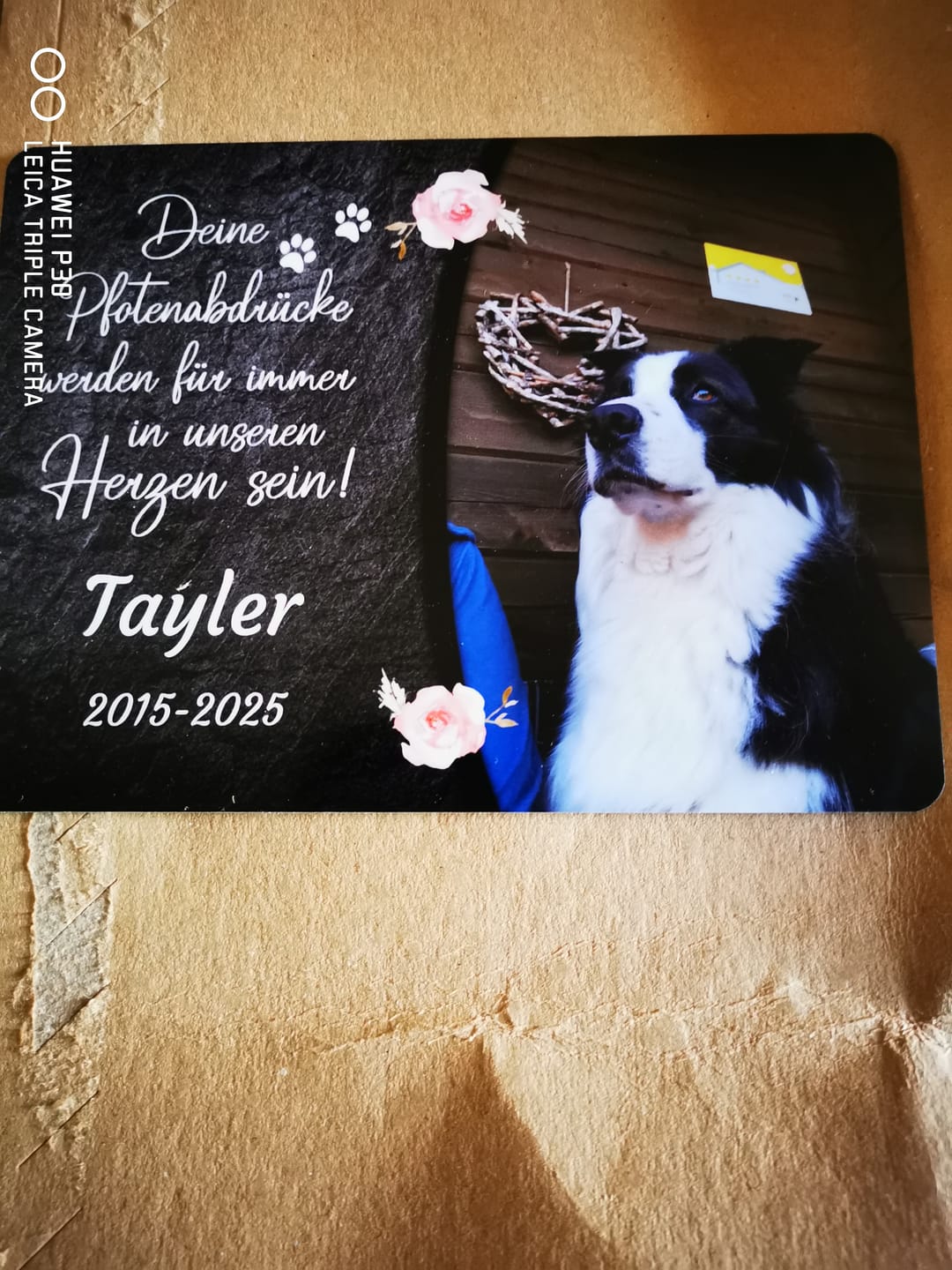 Customer photo review of Hunde Gedenktafel mit Foto & Spruch (UV- & Wetterfest)