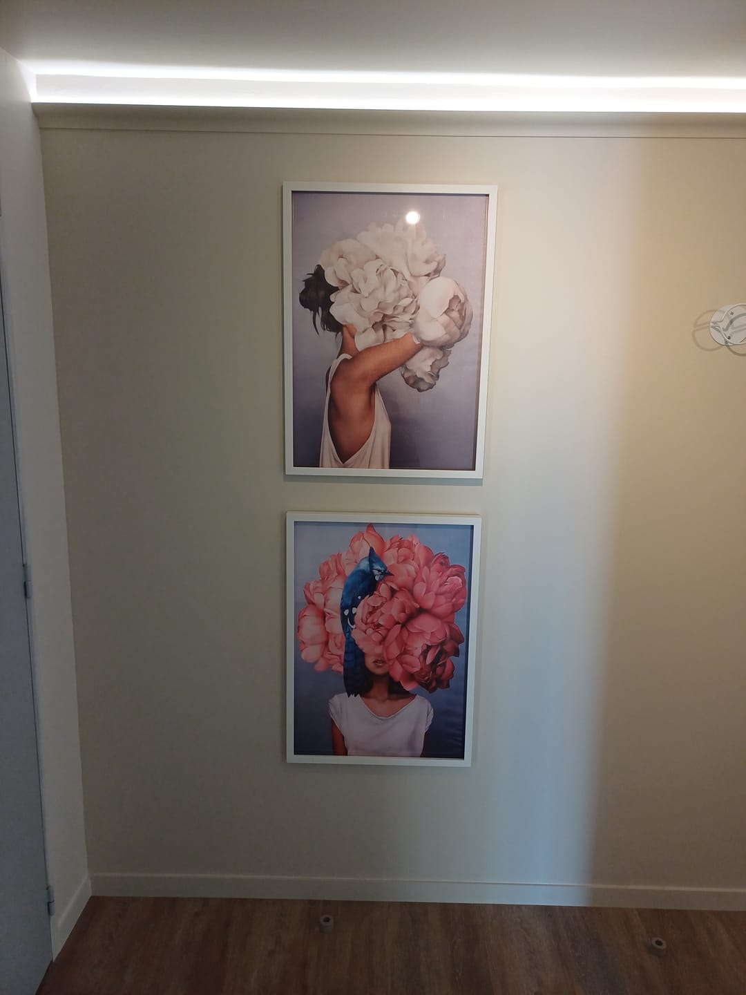 Customer photo review of Affiches Abstraites Femme et Fleurs (DESTOCKAGE)