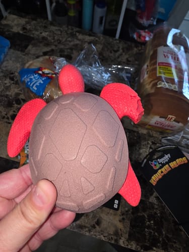 Customer photo review of Gnaw Guard Foam Toys