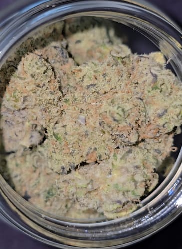 Customer photo review of Airborne G13 × Super Silver Grail Haze
