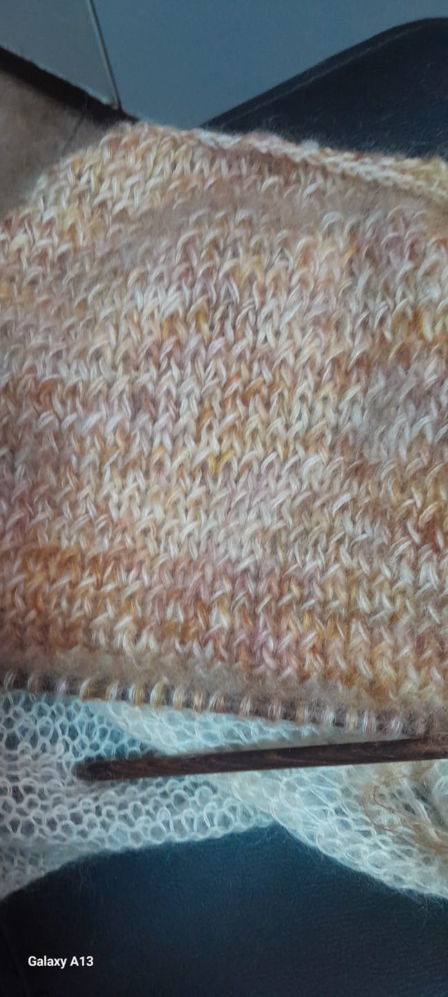 Customer photo review of Eco Soft  Isager (56% Alpaca / 44% Algodón Pima Orgánico)