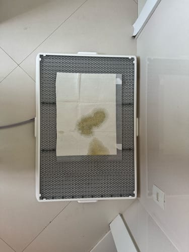 Customer photo review of Weasy Cão