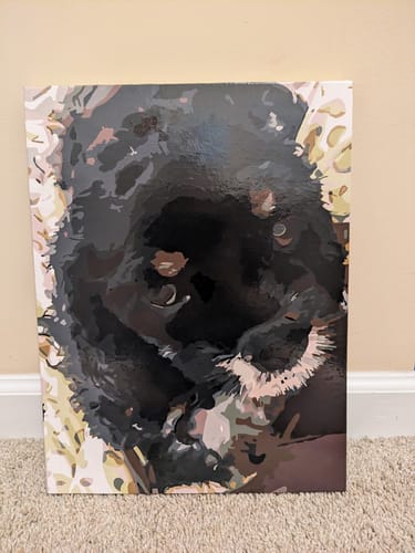 Customer photo review of Paint Your Pet by Numbers - Personalized Pet Portraits
