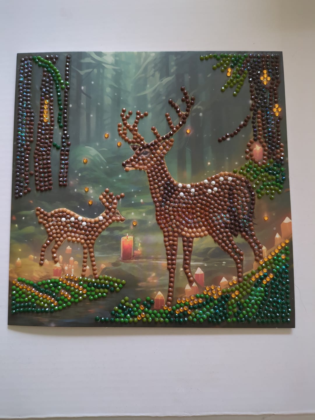 Customer photo review of "Enchanted Forest" Crystal Art Card 18x18cm
