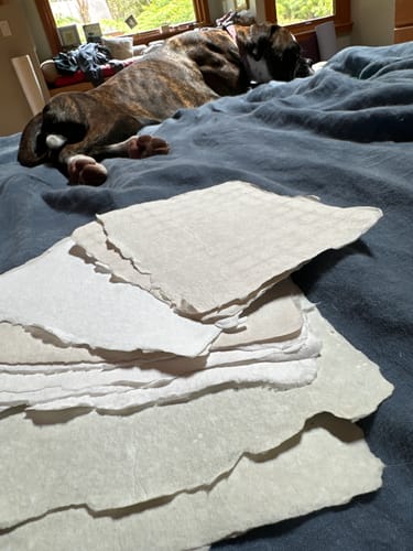 Customer photo review of odds bundles 019-027