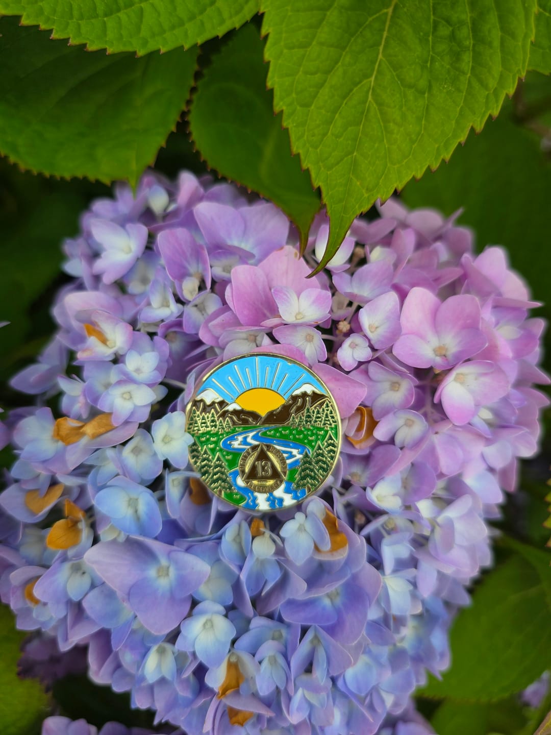 Customer photo review of 1 to 65 Year Sobriety Mint Winding River Gold Plated AA Recovery Medallion/Chip/Coin