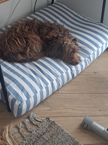 Customer photo review of Cover Materassino Sfoderabile Cotone Premium Riga Larga Azzurro