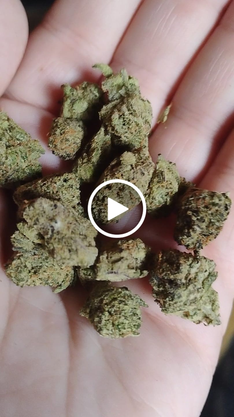 Customer video review of Exotic Smalls