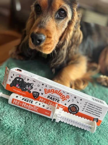 Customer photo review of Bugalugs Pre & Probiotic Digestive Paste for Dogs & Cats (30ml)