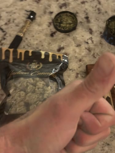Customer photo review of Gold Spectrum THCA Flower - Top Quality Strain of the Month
